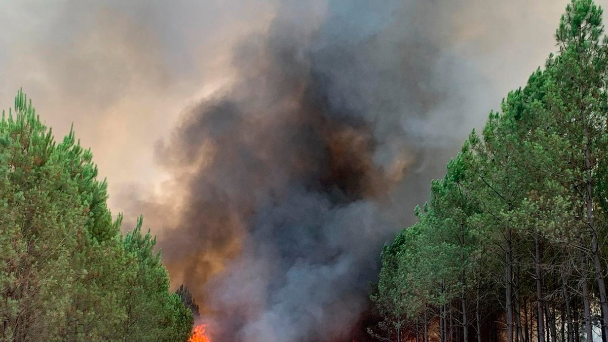 Skogsbränder härjar återigen i sydvästra Frankrike.