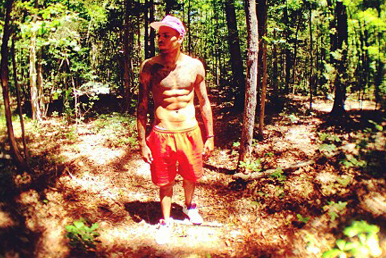 En helt vanlig dag i skogen för Chris Brown.