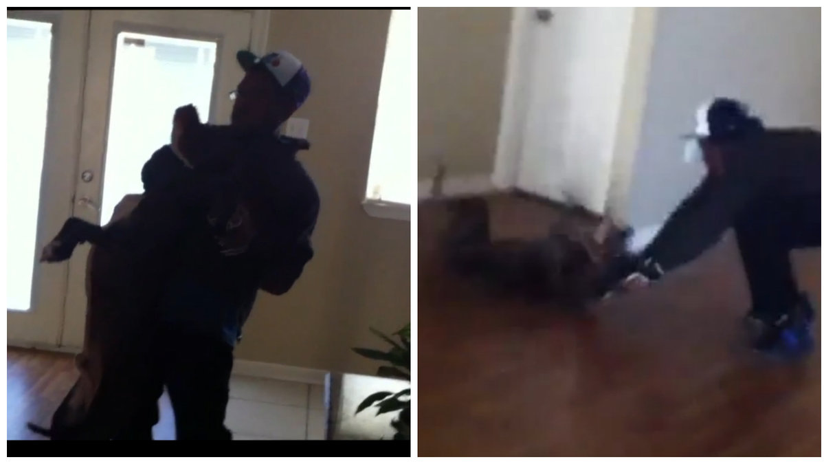 I den brutala videon ses bland annat ägaren slänga sin hund i golvet.