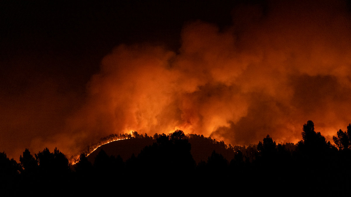 Skogsbranden nära Villanueva de Viver i Castellón i östra Spanien tidigt på fredagen.