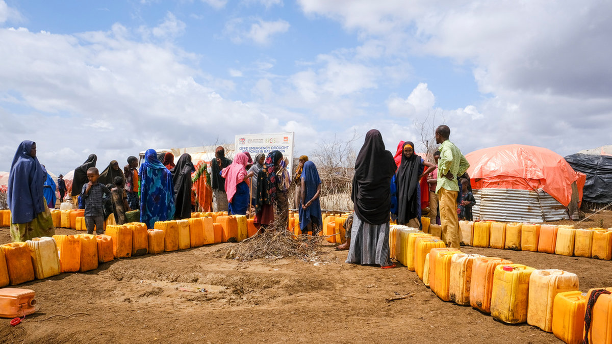Somalier köar för vatten, distribuerat av norska NRC Flyktinghjälpen. Bilden är tagen nära staden Baidoa i höstas.
