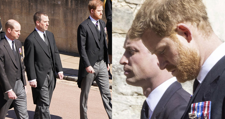 Prins William, Prins Harry
