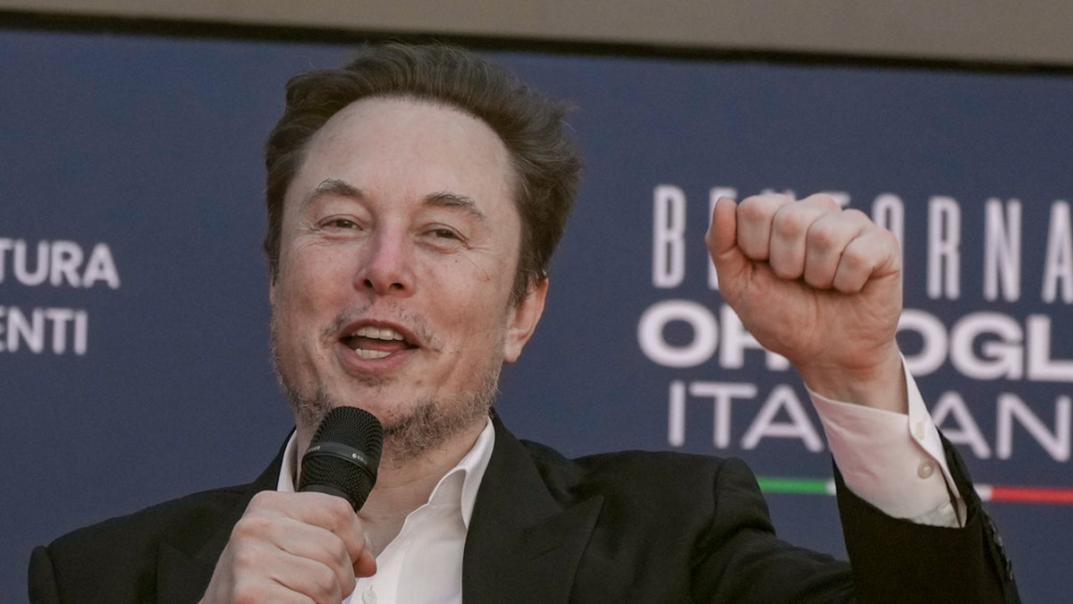 Teslas och Space X grundare Elon Musk. Arkivbild