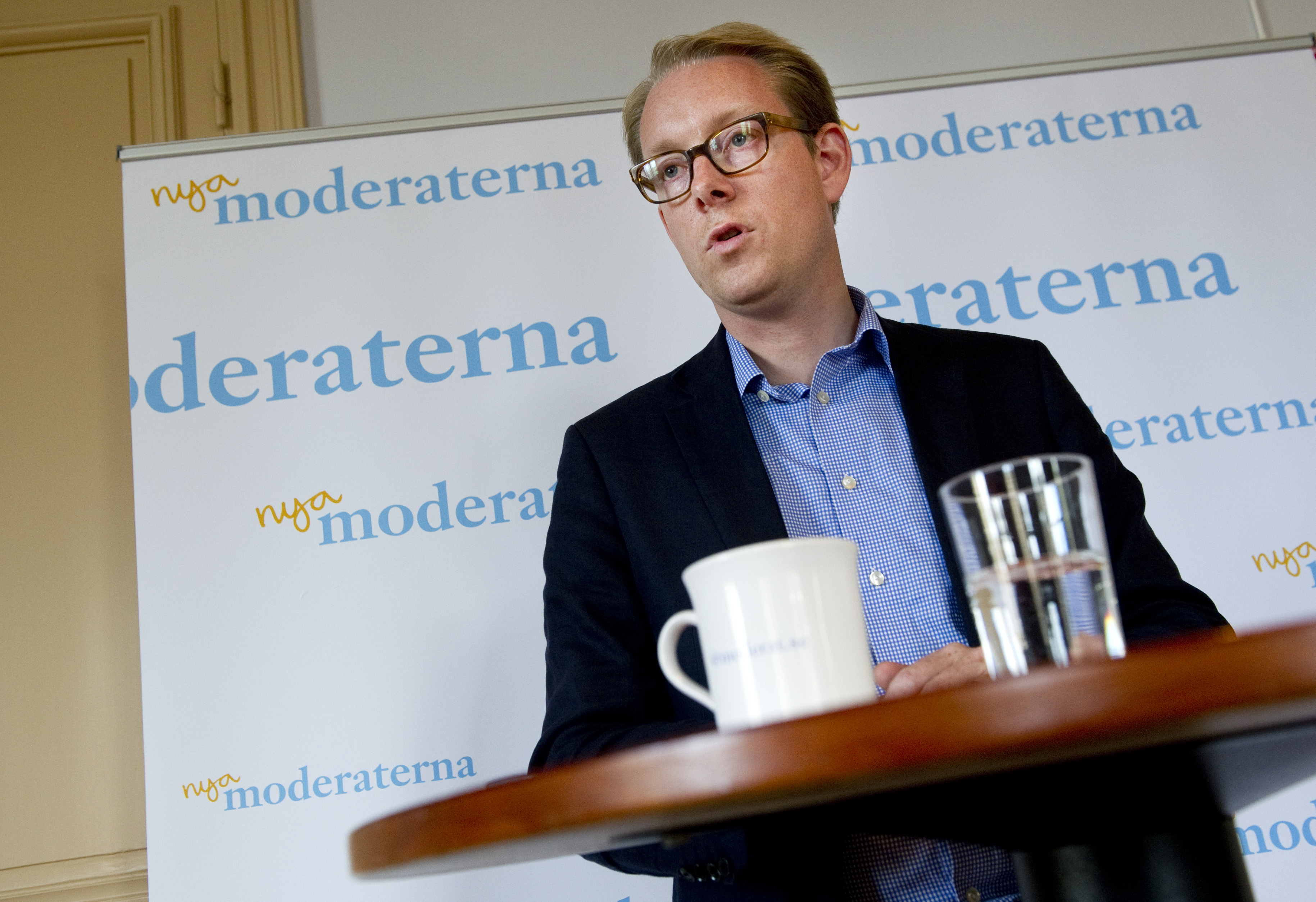Migrationsminister Tobias Billström ska leda gruppen som består av elva personer utöver honom själv.