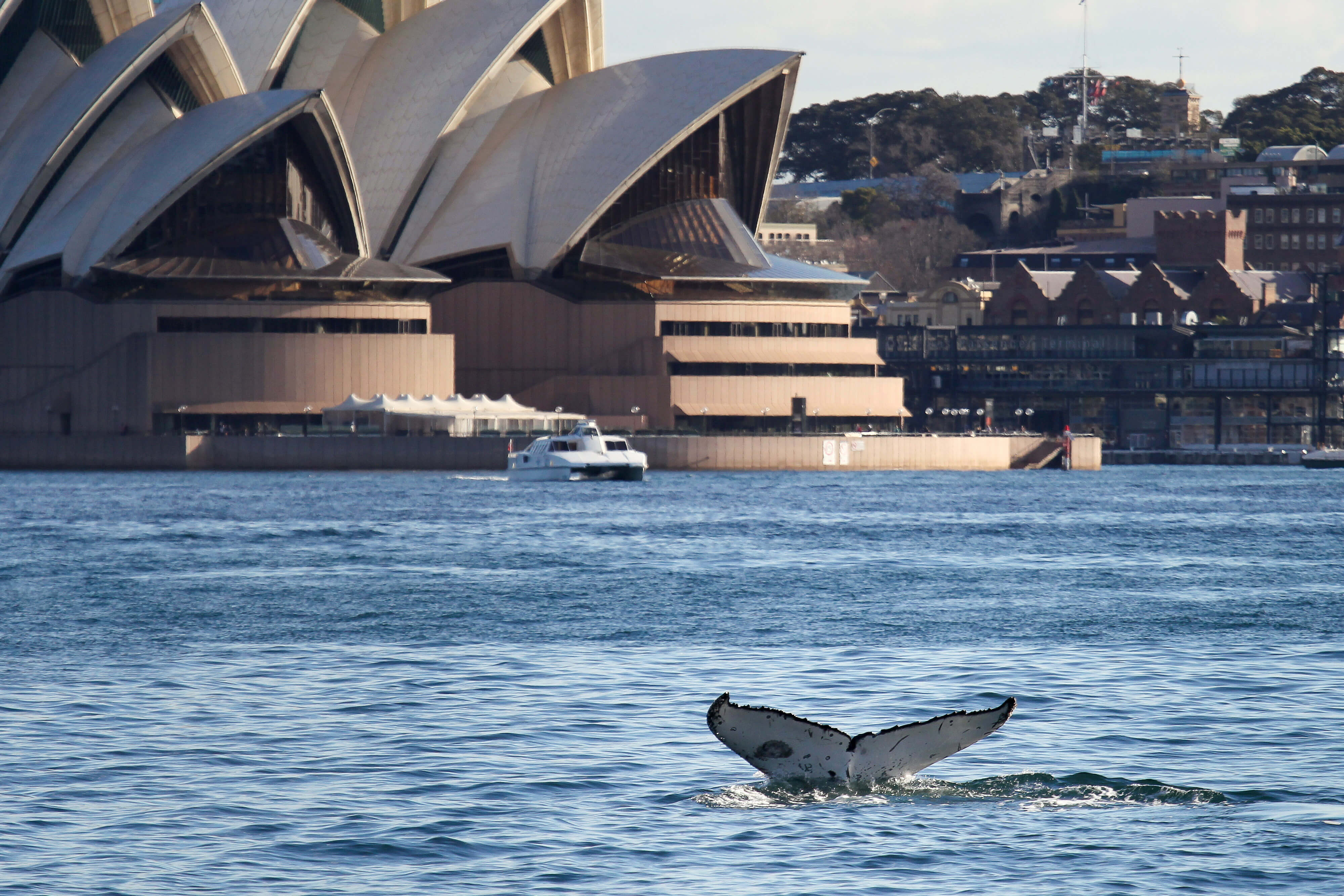 7. Australien 7. Australien