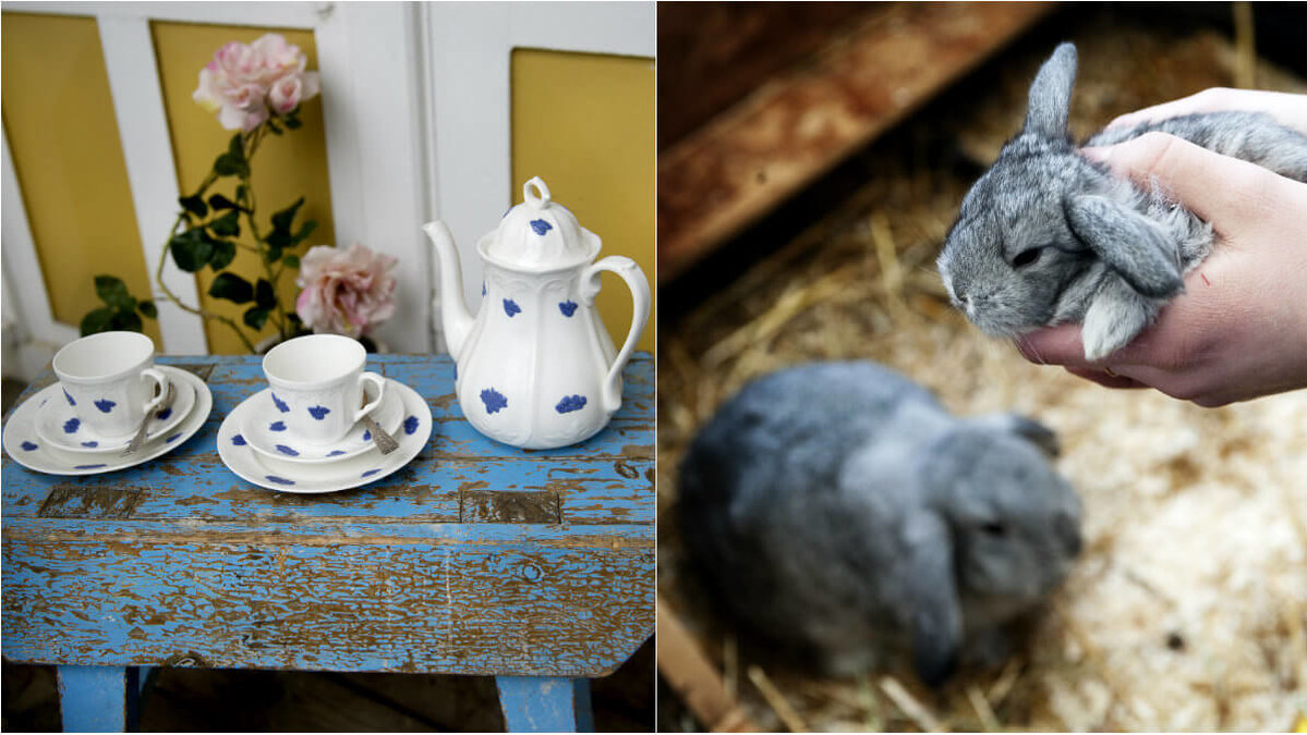 Ett pop-up kafé med levande kaniner skulle öppna nu på söndag i London.