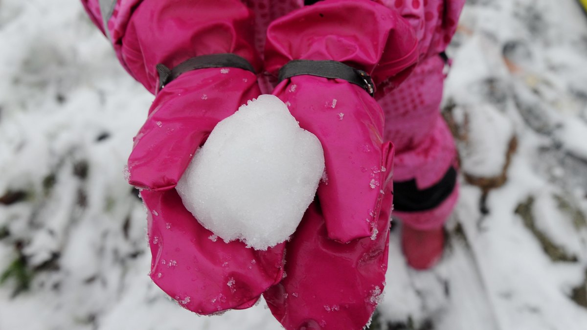 I Aspen, Colorado är det olagligt att kasta snöbollar eller missiler. 