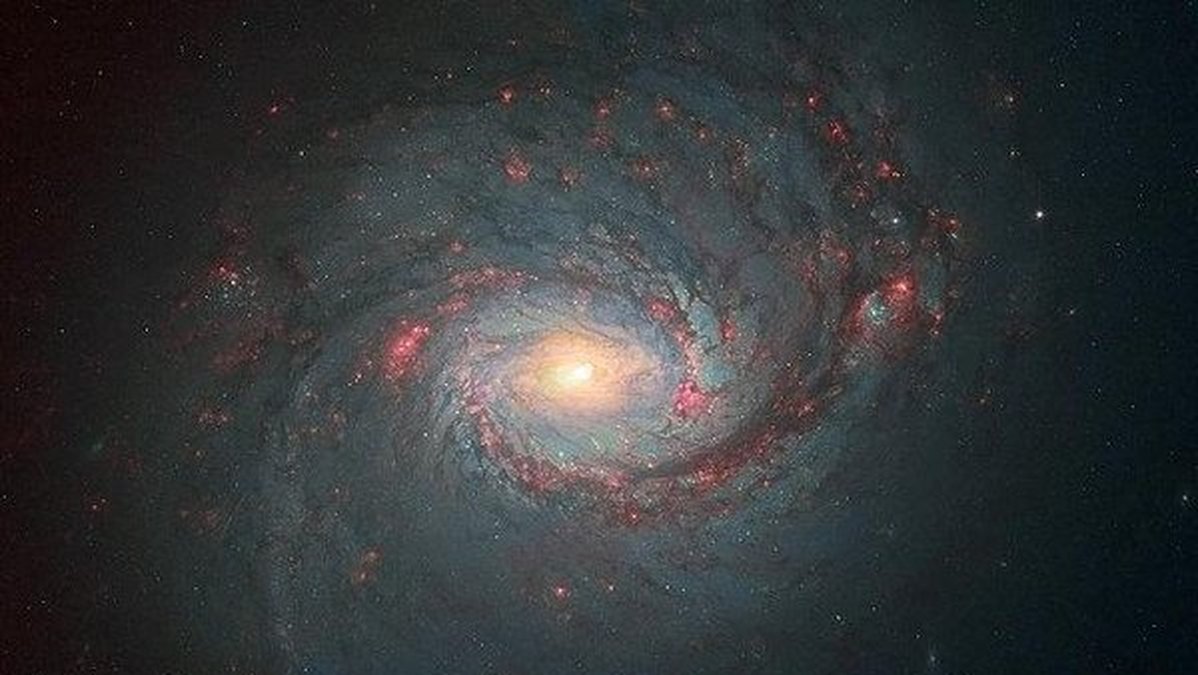 Spiralgalaxen Messier 77, som blev juryns andrafavorit.
