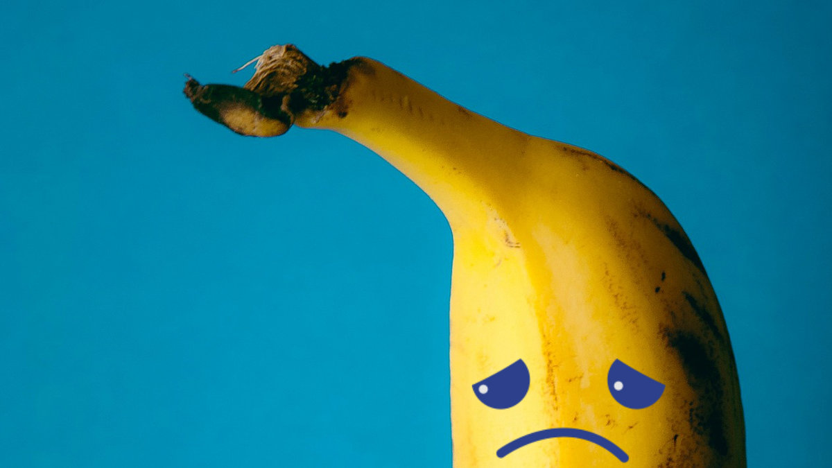 Bananer riskerar att försvinna helt inom bara ett par år.