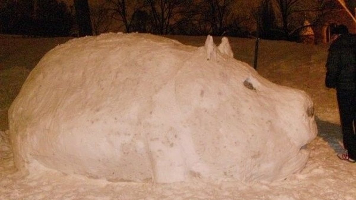 En gång täckte de kompisen bil med snö och formade snön som en gris. 