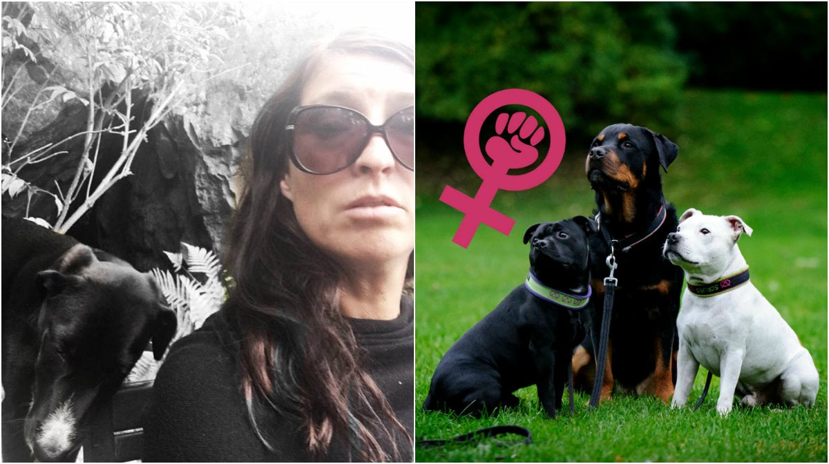 Hund, Debatt, Feminism, Jämställdhet