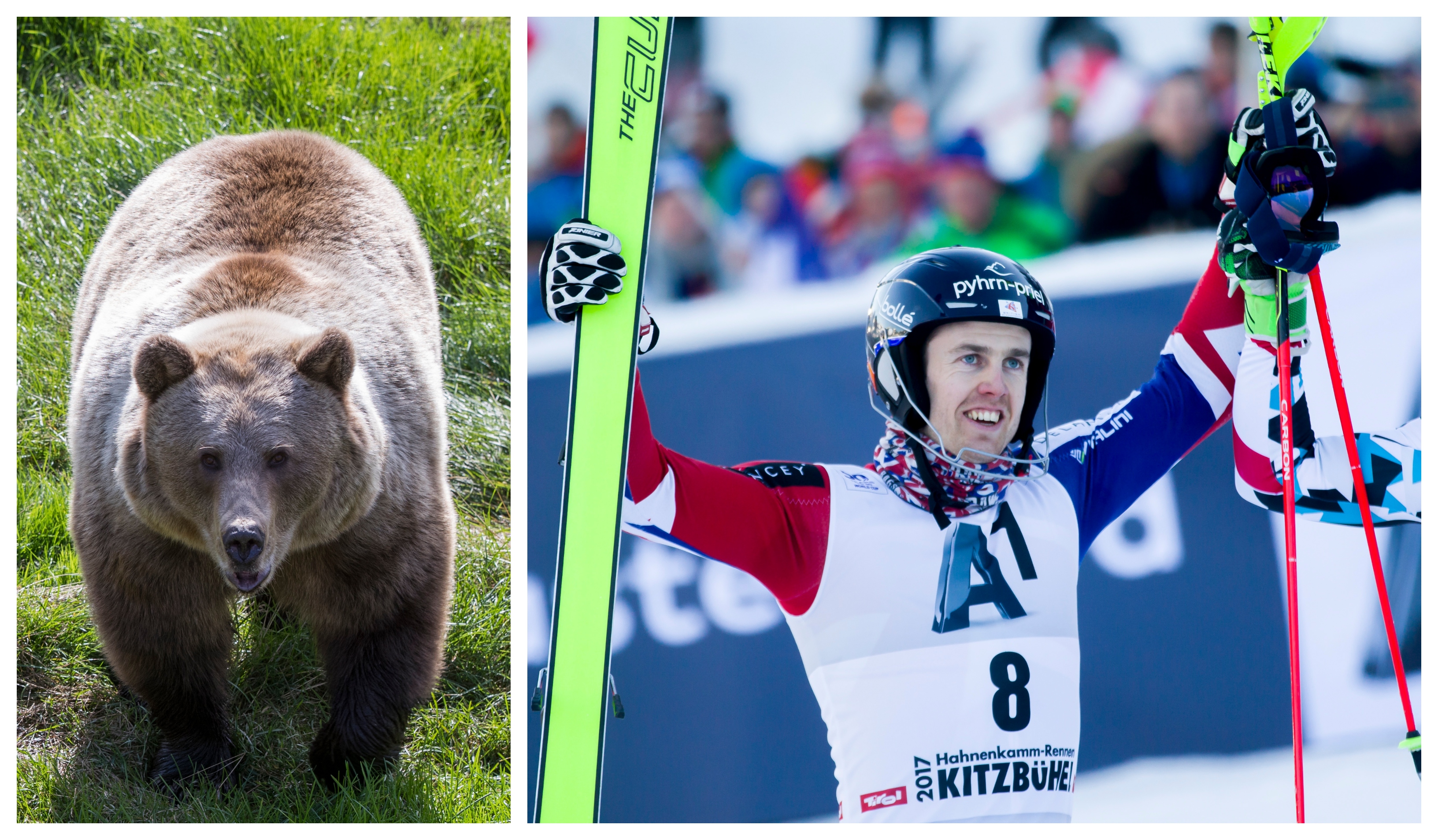 Dave Ryding tackar för penisben från svensk björn i OS