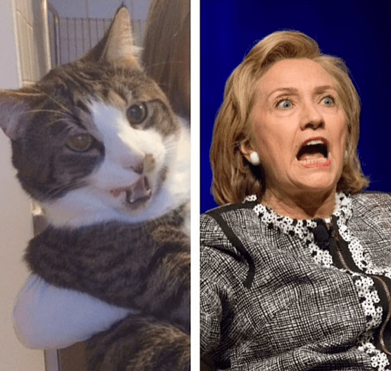 Hillary Clinton. Hillary Clinton.