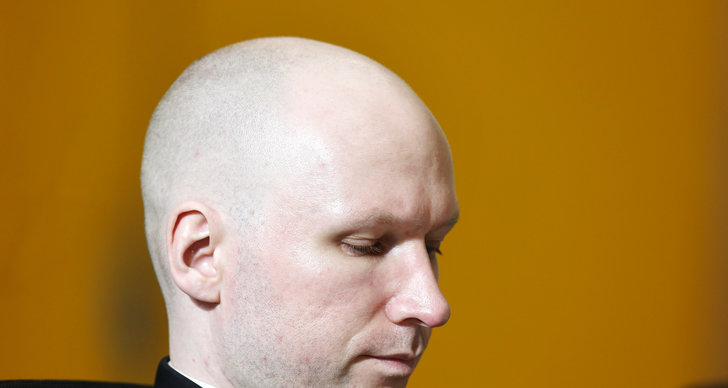 Norska staten, Dom, Fängelse, Anders Behring Breivik, Mänskliga rättigheter