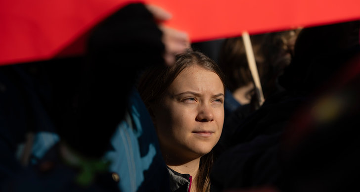 Greta Thunberg, TT, Miljöpartiet
