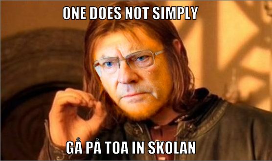 Bildextra Kungen Hanas Pa The Typical Svensken