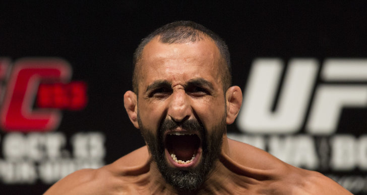 MMA, Fängelse, Reza Madadi, UFC, Grov Stöld