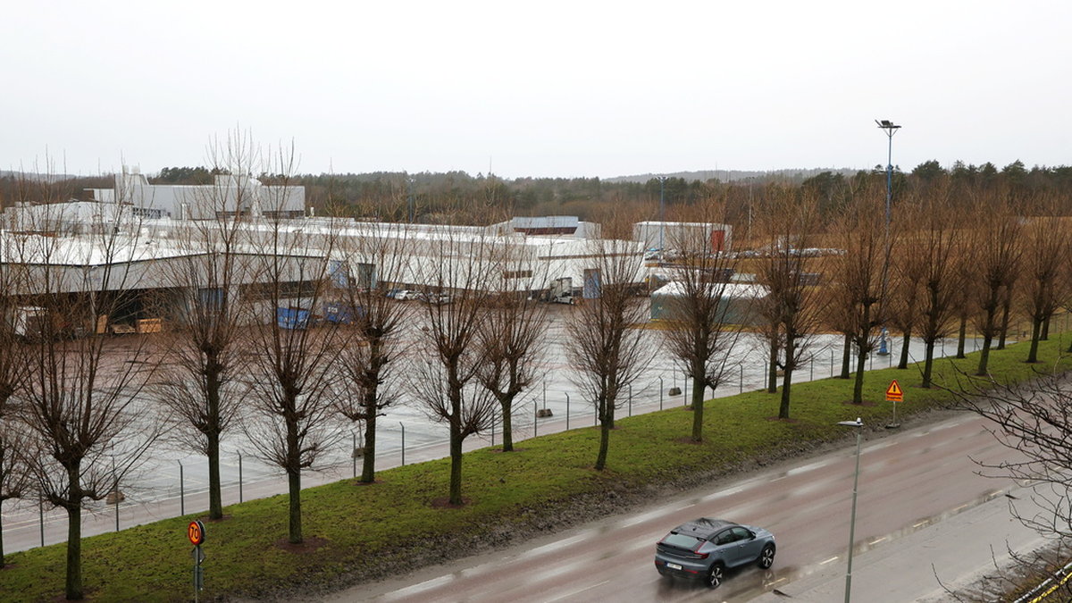 Förra året fick Volvo Cars och Northvolt tillstånd att flytta på fridlysta djur för att bygga en batterifabrik i Torslanda utanför Göteborg. Arkivbild.