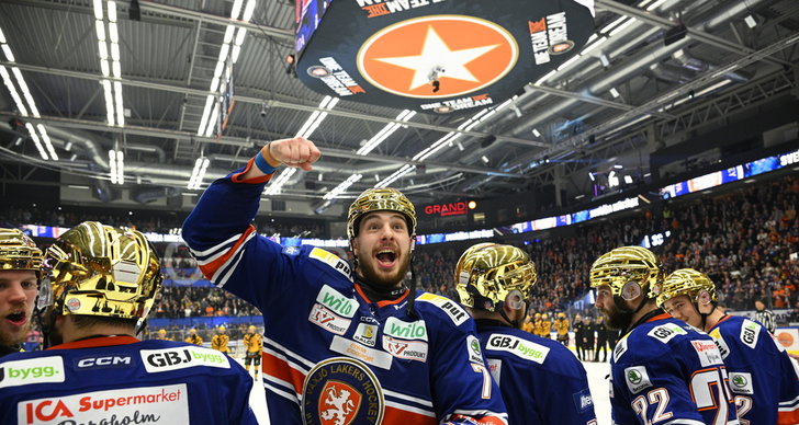 Elias Pettersson, Sverige, HockeyAllsvenskan, TT
