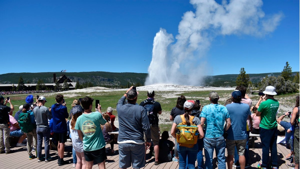 Turisterna är tillbaka i nationalparken Yellowstone.