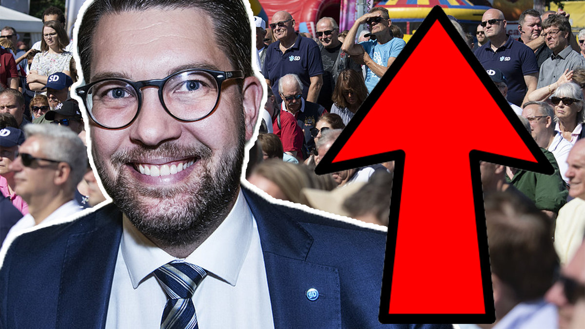 Sverigedemokraterna kan bli Sveriges största parti enligt experter