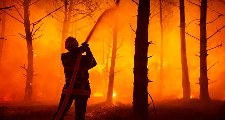 Skogsbrand, SMHI, Extremhettan i Europa