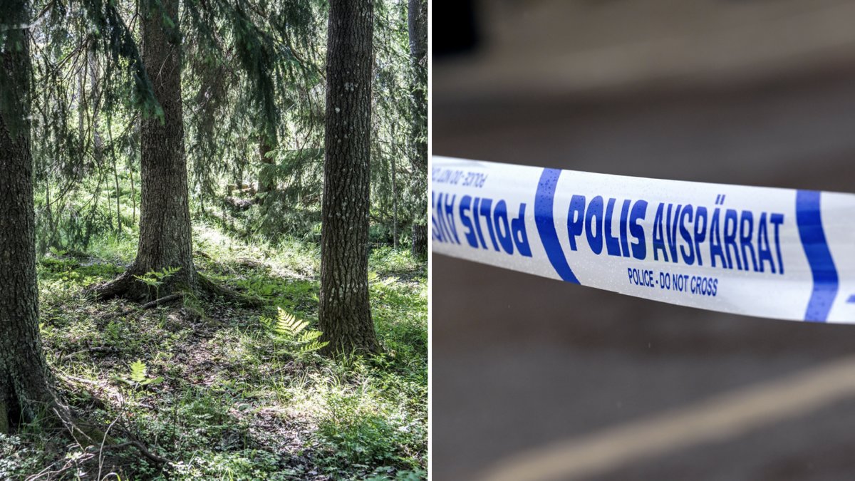 En småbarnspappa misstänks ha mördats och dumpats i skogarna mellan Allingsås och Göteborg.