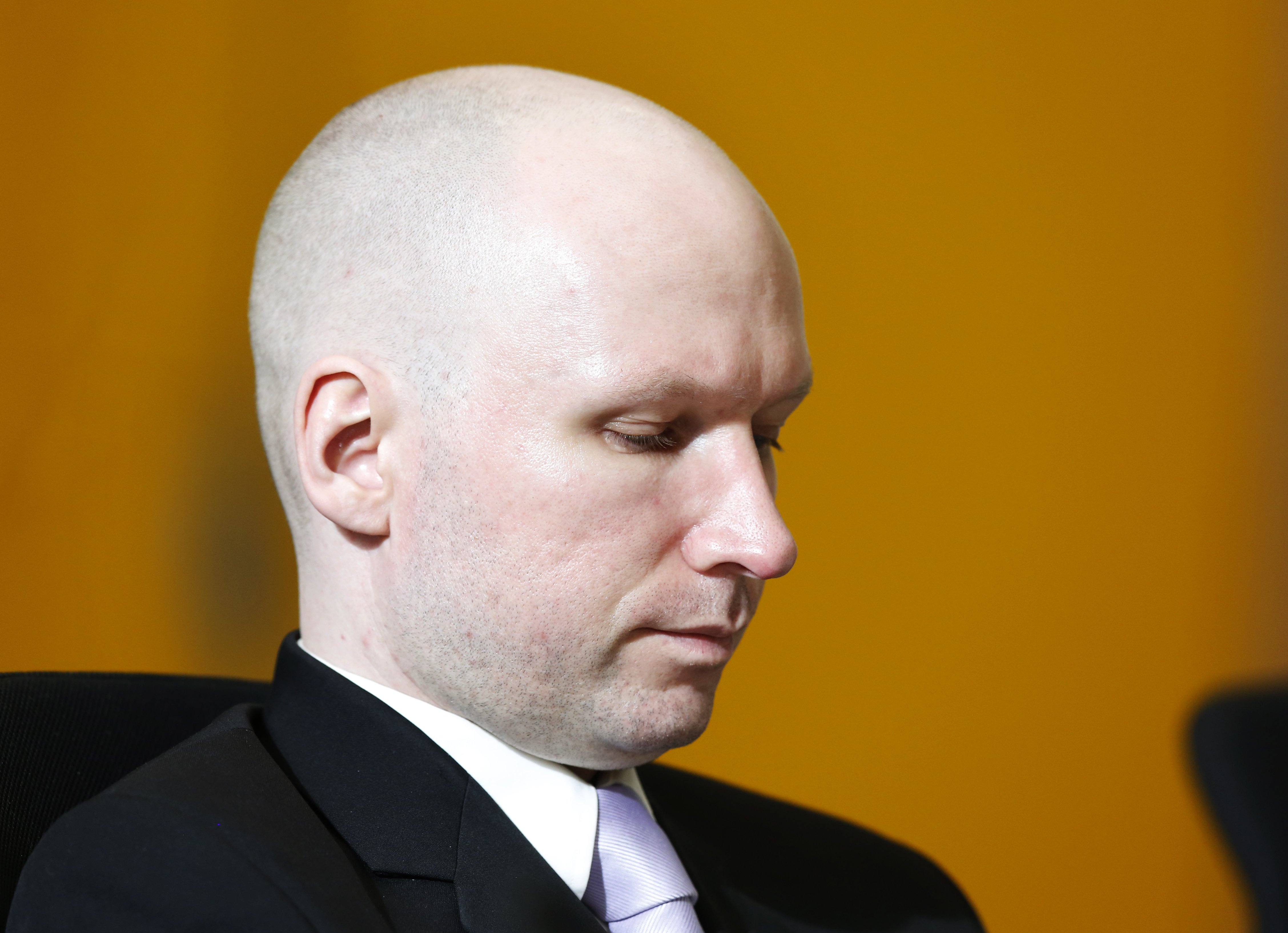 Anders Behring Breivik, Norska staten, Fängelse, Mänskliga rättigheter, Dom