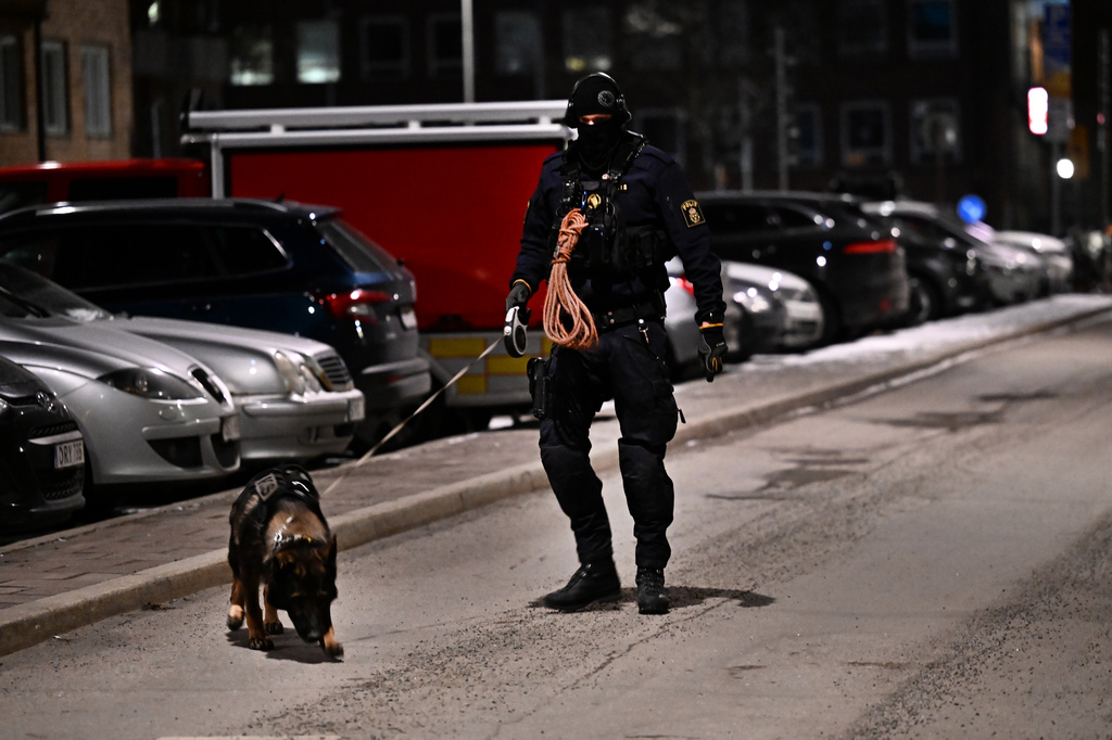 TT, Stockholm, Hund, Polisen