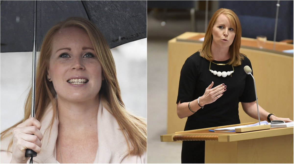 Annie Lööf, Sveriges sexigaste politiker, Centerpartiet
