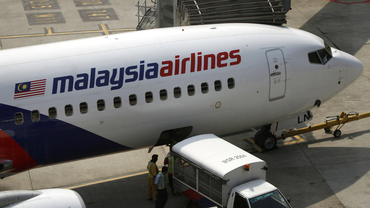 Ett flygplan från Malaysia Airlines har skjutits ner i Ukraina nära den ryska gränsen.