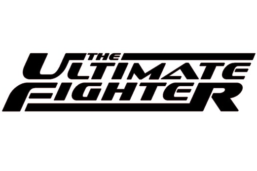 UFC, MMA, Dana White, Hamid Corassani, The Ultimate Fighter