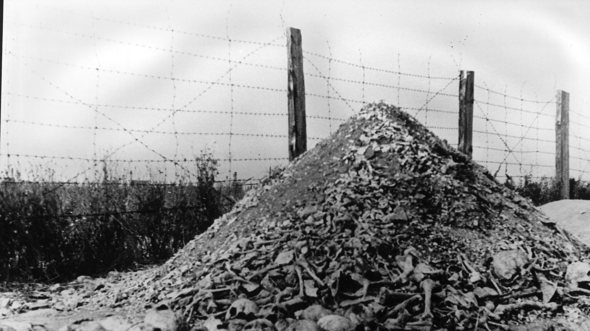 Hår, kläder, skor och andra kvarlevor samlades i stora högar på koncentrationslägren.