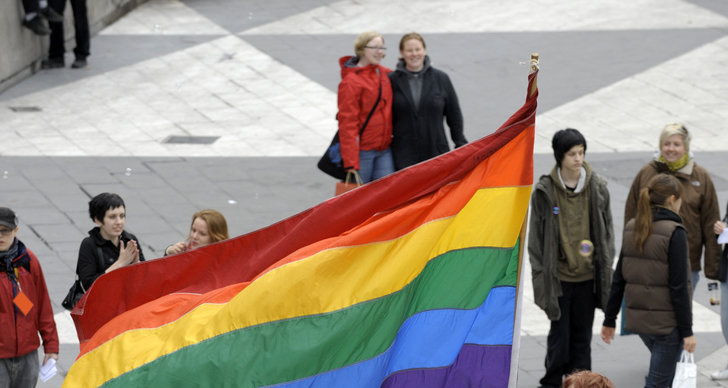 Regnbågsflagga, Pride, Flagga, Kristdemokraterna, Surahammar