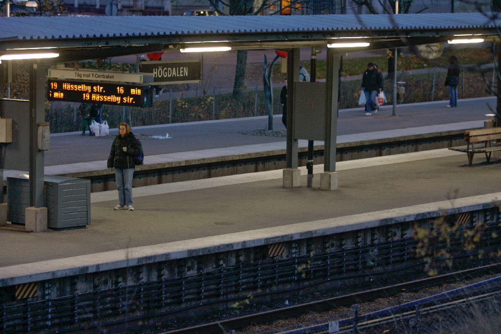 Den 2 november 2007 vid tvåtiden blev en man nerknuffad på spåret på Högdalens tunnelbanestation. Mannen dog direkt.