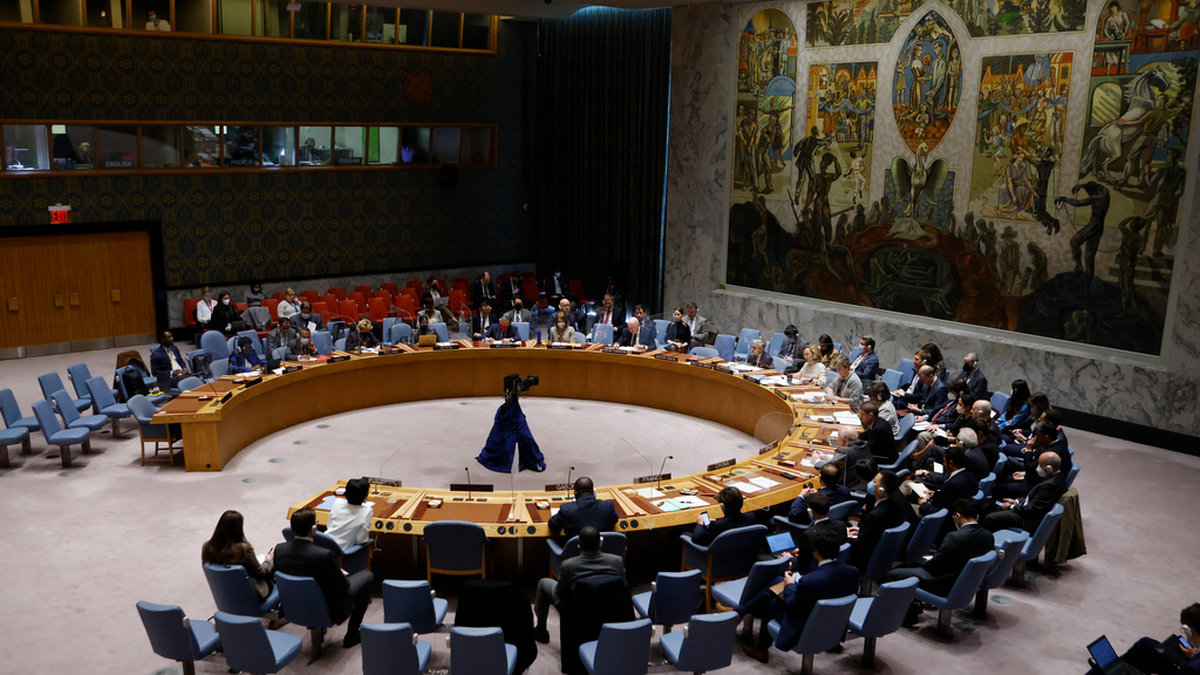 Ett formellt klagomål kommer att lämnas in till FN:s säkerhetsråd. Arkivbild.