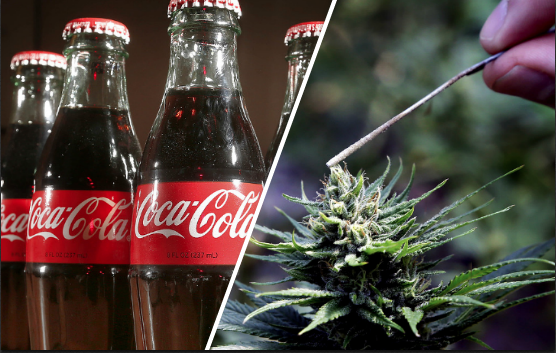 Coca-Cola flaskor och en cannabisplanta