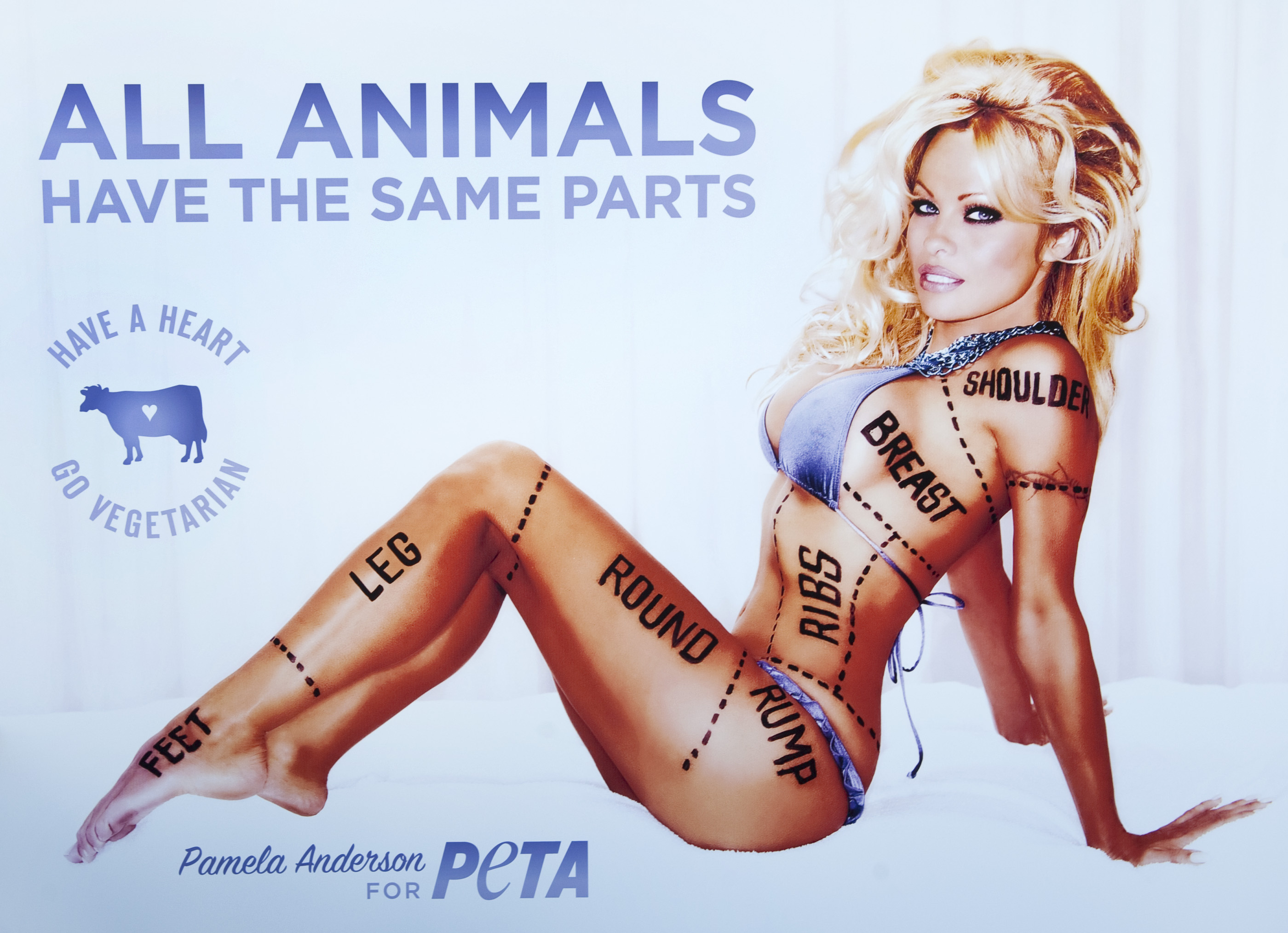 Pamela är djurvän och vegetarian och har varit ett utav Petas ansikten utåt. Pamela är djurvän och vegetarian och har varit ett utav Petas ansikten utåt.