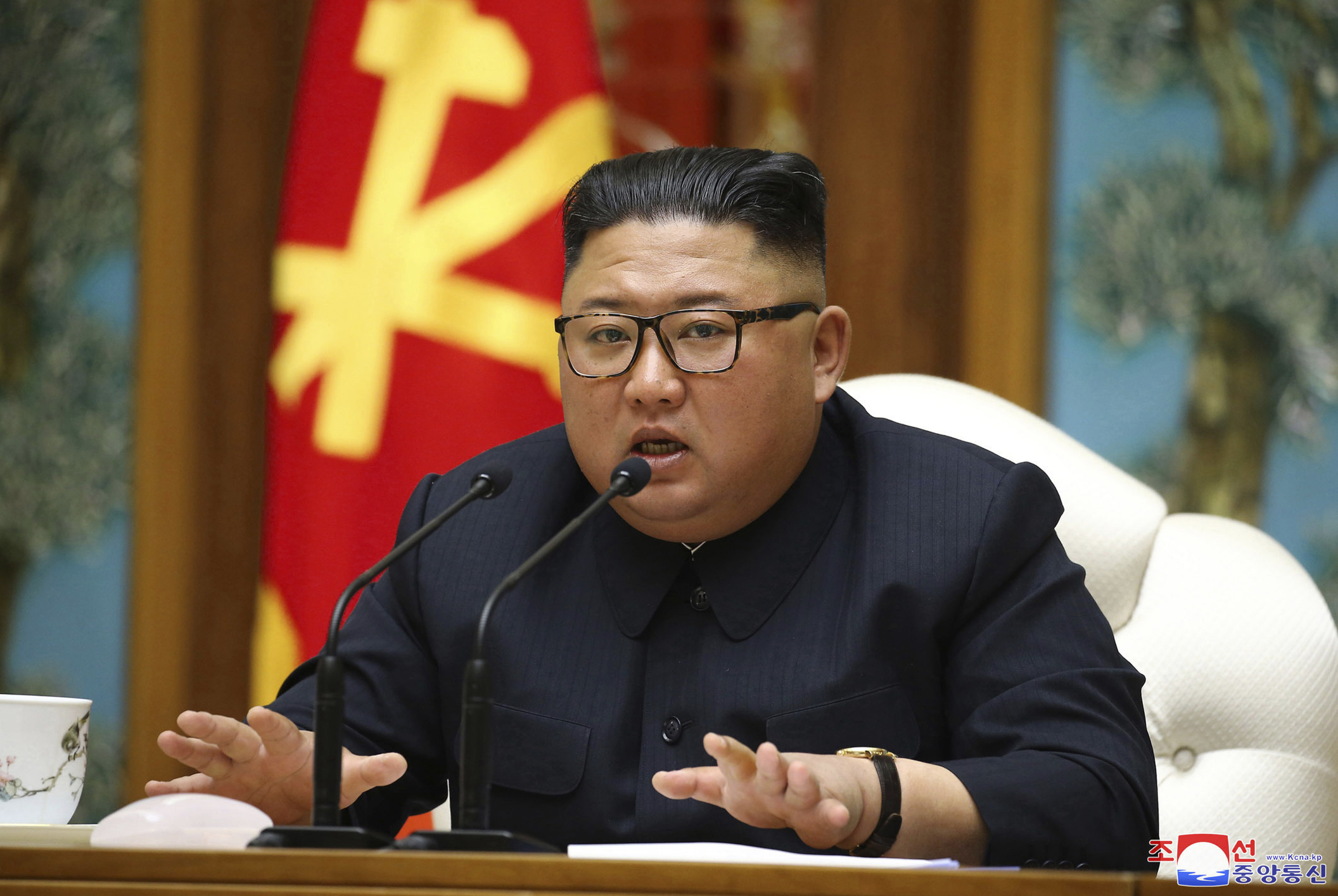Kim Jong-Un, Nordkorea
