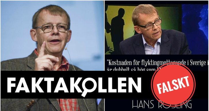 Faktakollen, Hans Rosling, Nätets mörka sida
