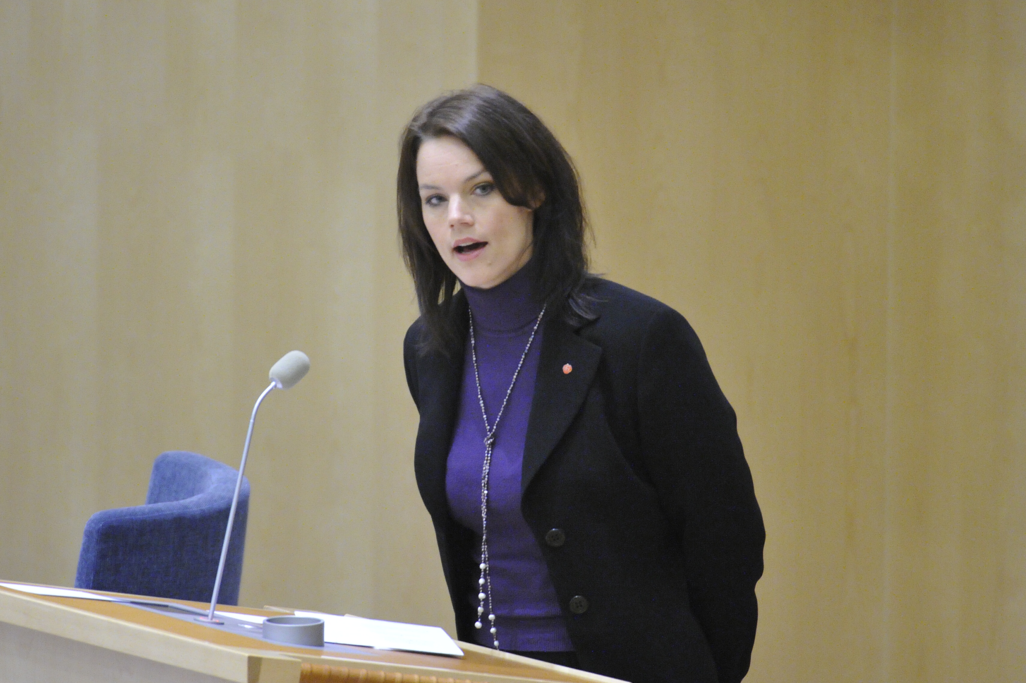 Veronica Palm, Regeringen, Riksdagsvalet 2010, Försäkringskassan, Sjukförsäkring, Utförsäkrad
