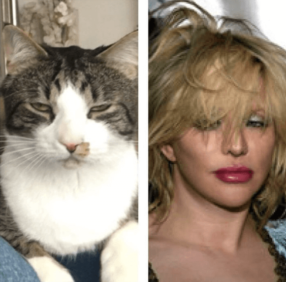 Courtney Love. Courtney Love.