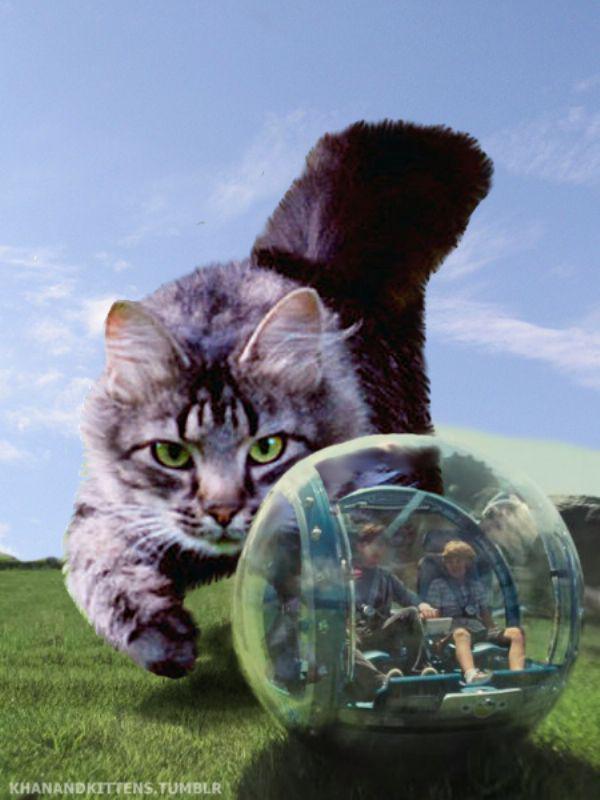 Kattans också! Kattans också!