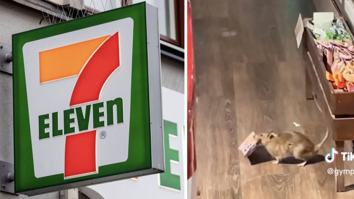 På klippet skuttar en råtta runt bland maten på en 7-Eleven i centrala Stockholm
