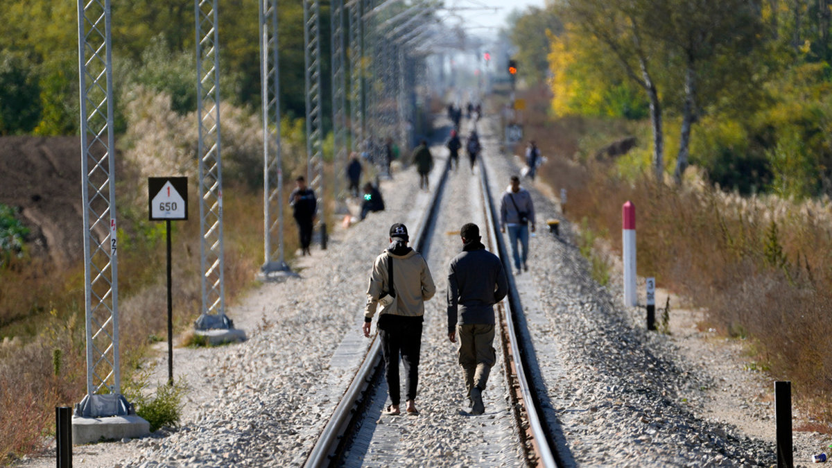 EU-sugna migranter vandrar längs järnvägsspåren nära gränsen mellan Serbien och Ungern. Arkivbild.