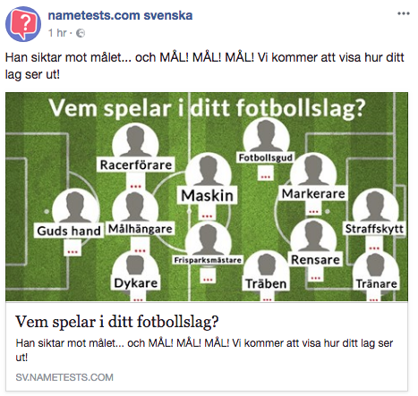 Ett av många exempel från nametest.com som experter varnar för Ett av många exempel från nametest.com som experter varnar för