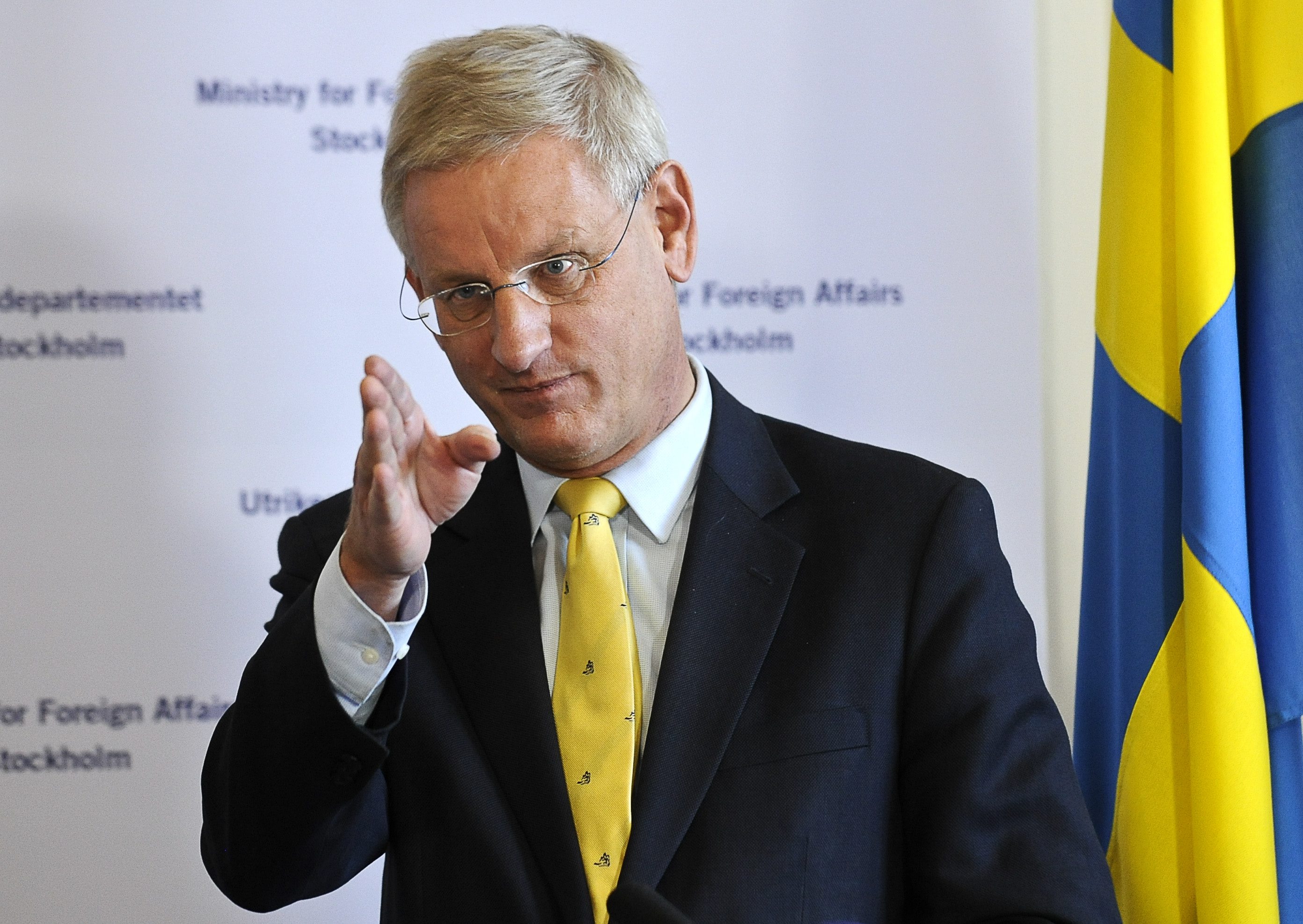  Carl Bildt (m) undrade om detta gällde alla gränser, även Baltikum och Finland. Och ja, det stämmer. Alla gränser.