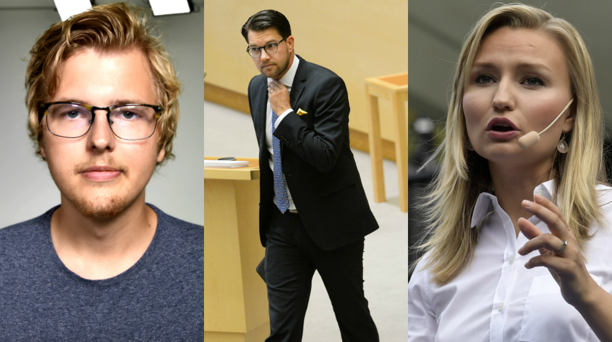 Sverigedemokraterna är visst rasister, Ebba Busch Thor ...