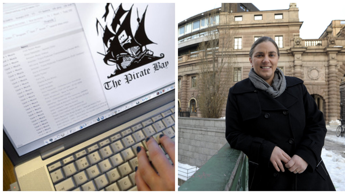 Anna Troberg, Piratpartiets ledare, menar att det inte hade varit en långsiktig lösning på problemen för Pirate Bay.