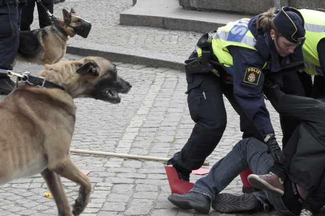 Natten mot tisdag förvandlades Landskrona till en krigsskådeplats. Fyra poliser åkte på däng. Bilden är inte kopplad till händelserna.